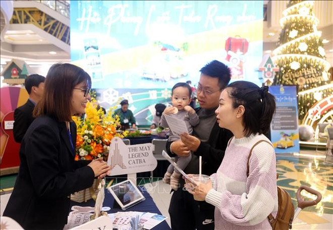 游客查找酒店的信息。图自越通社 hai-phong-081224.jpg
