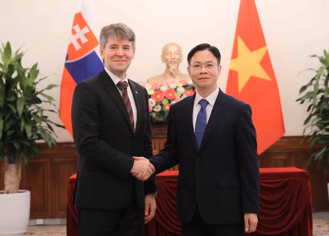 vna-potal-tham-van-chinh-tri-cap-thu-truong-ngoai-giao-viet-nam-slovakia-8139912.jpg