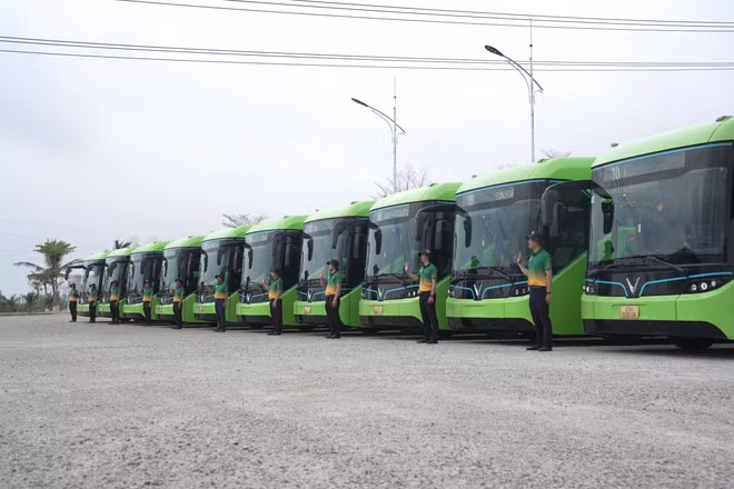 vna-potal-hai-phong-mien-phi-tuyen-xe-dien-moi-cho-du-khach-tai-dao-cat-ba-7981229.jpg