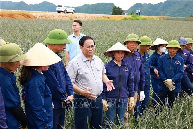 越南政府总理范明政亲自慰问正在宁平省三叠市同交农场菠萝田里辛勤劳作的工人们。图自越通社