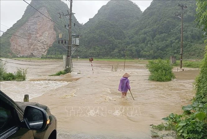 越南政府总理就防治自然灾害作出指示