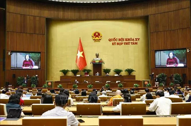 越南第十五届国会第八次会议场景。图自越通社