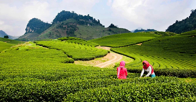 木州县推动旅游业高质量发展行稳致远。图自互联网