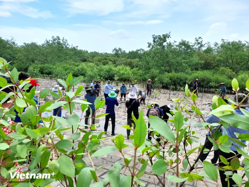 确保经济发展与自然和生物多样性保护之间的平衡。图自Vietnam+