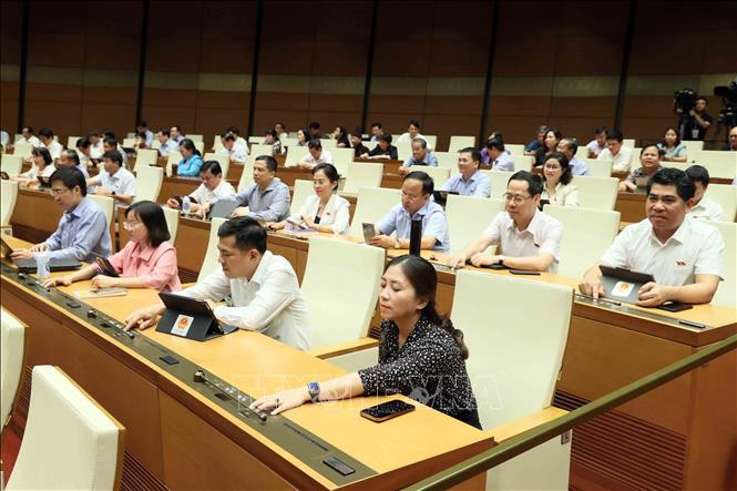 6月8日下午，与会代表投票通过关于2025年法律和法令制定计划和2024年法律法令制定计划调整方案的决议。图自越通社