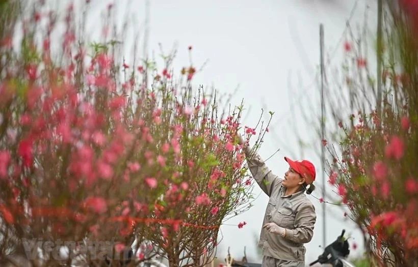 2025年春节劳动者休9天。图自Vietnam+