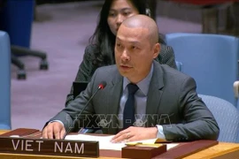 越南常驻联合国代表团公使阮黄元。图自越通社