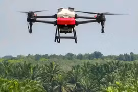 无人机（UAV）和遥控潜水器（ROV）等多项新技术在实践中得到应用。图自越通社