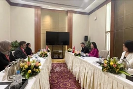 由越南国家审计副总审计长何氏美蓉率领的代表团，与阿拉伯联合酋长国（UAE）责任审计机构代表团举行了工作会谈。图自越通社