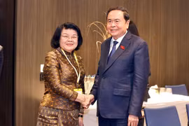 越南国会主席陈青敏会见柬埔寨国会主席昆索达莉。图自越通社