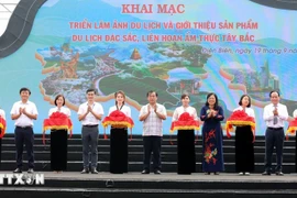 2025年奠边西北精华狂欢节系列活动在奠边府坊5·7广场正式开幕。图自越通社