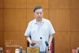 越共中央总书记、国家主席苏林发表讲话。图自越通社