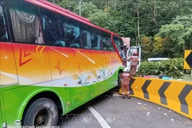 越南游客所乘巴士在马来西亚发生事故 所幸无人受重伤。图自越通社