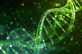 附图。图自互联网