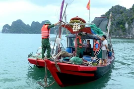 鸿基（Hòn Gai）港口岸边防哨所协同开展检查，处理在下龙湾非法从事水产捕捞活动的船只。图自越通社