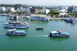 广宁省民防指挥部于9月8日11时起暂停向出海船舶发放许可证。图自越通社