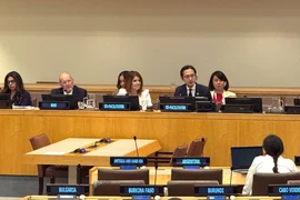 越南常驻联合国代表团团长杜雄越大使与会。图自越通社