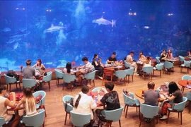 游客在坚江省富国岛北部体验海洋宫殿。图自越通社