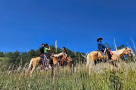 骑骏马探秘祖国最北端——宣光省独具特色的旅游体验产品。图自越通社