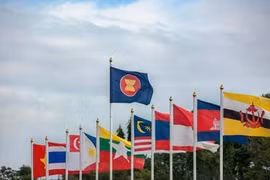 附图。图自互联网