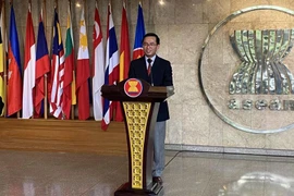越南外交部领导授权，东盟司司长陈德平大使率越南代表团出席会议。图自越通社