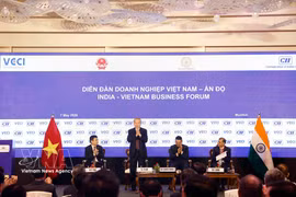 越共中央总书记、国家主席苏林出席越印企业论坛。图自越通社