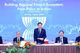 阮文胜副总理发表讲话。图自政府门户网站