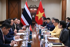 会见现场。图自越通社