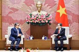 越南国会主席陈青敏会见巴勒斯坦驻越南大使萨阿迪·萨拉马。图自越通社