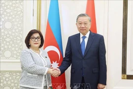 苏林总书记会见阿塞拜疆国民议会主席萨希芭·加法罗娃。图自越通社