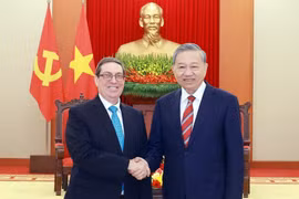 越共中央总书记苏林和古巴外长罗德里格斯。图自越通社