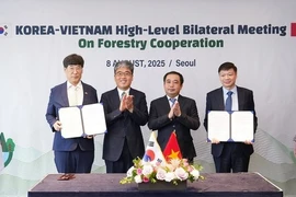 陈德胜代理部长与林相燮厅长共同见证了双方专业机构之间合作文件的签署。图自Vietnam+