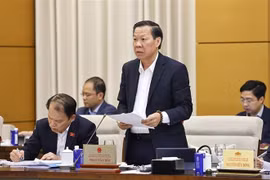 国会经济与财政委员会主任潘文买发表讲话。图自越通社