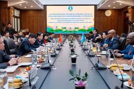 工作座谈场景。图自越通社