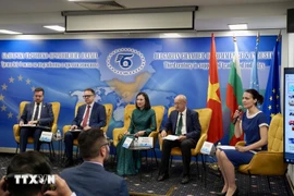 研讨会现场。图自越通社