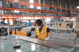 附图。图自越通社