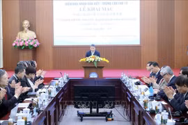 越南友好组织联合会主席潘英山发表讲话。图自越通社