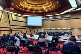 会议现场。图自越通社