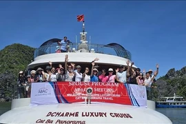 ABAC III会议与会代表夫人、夫君对兰夏湾、吉婆岛的美景津津有味。图自越通社
