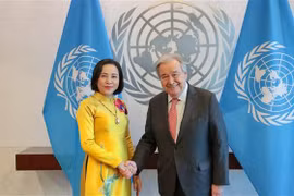 越南国会副主席阮氏清和联合国秘书长安东尼奥·古特雷斯。图自越通社