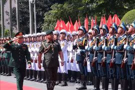 越南人民军总参谋长与文莱皇家武装部队司令举行会谈