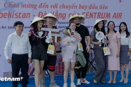 来自乌兹别克斯坦的180多名游客抵达岘港。图自越通社