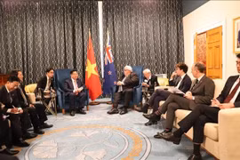 阮仲义一行拜会新西兰议会议长格里·布朗利。图自越通社