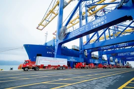 附图。图自越通社