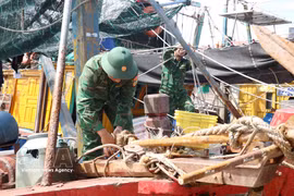 边防部队协助渔民躲避第一号台风。图自越通社