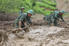 目前，公安、军队、民兵和各级组织力量等近700人参与救援行动。图自越通社
