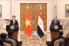 越南国家主席梁强与埃及总统塞西共同会见记者。图自越通社