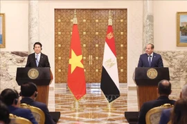 越南国家主席梁强与埃及总统塞西共同会见记者。图自越通社
