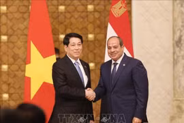 越南国家主席梁强和埃及总统阿卜杜勒·法塔赫·塞西。图自越通社