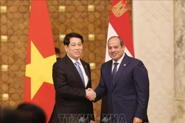 越南国家主席梁强和埃及总统阿卜杜勒·法塔赫·塞西。图自越通社